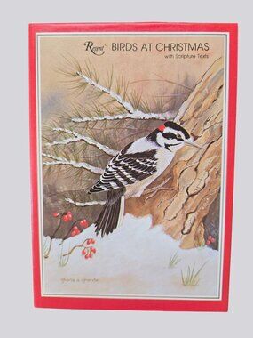 Birds At Christmas Boxed Greeting Cards By Regent Envelopes Scripture Texts